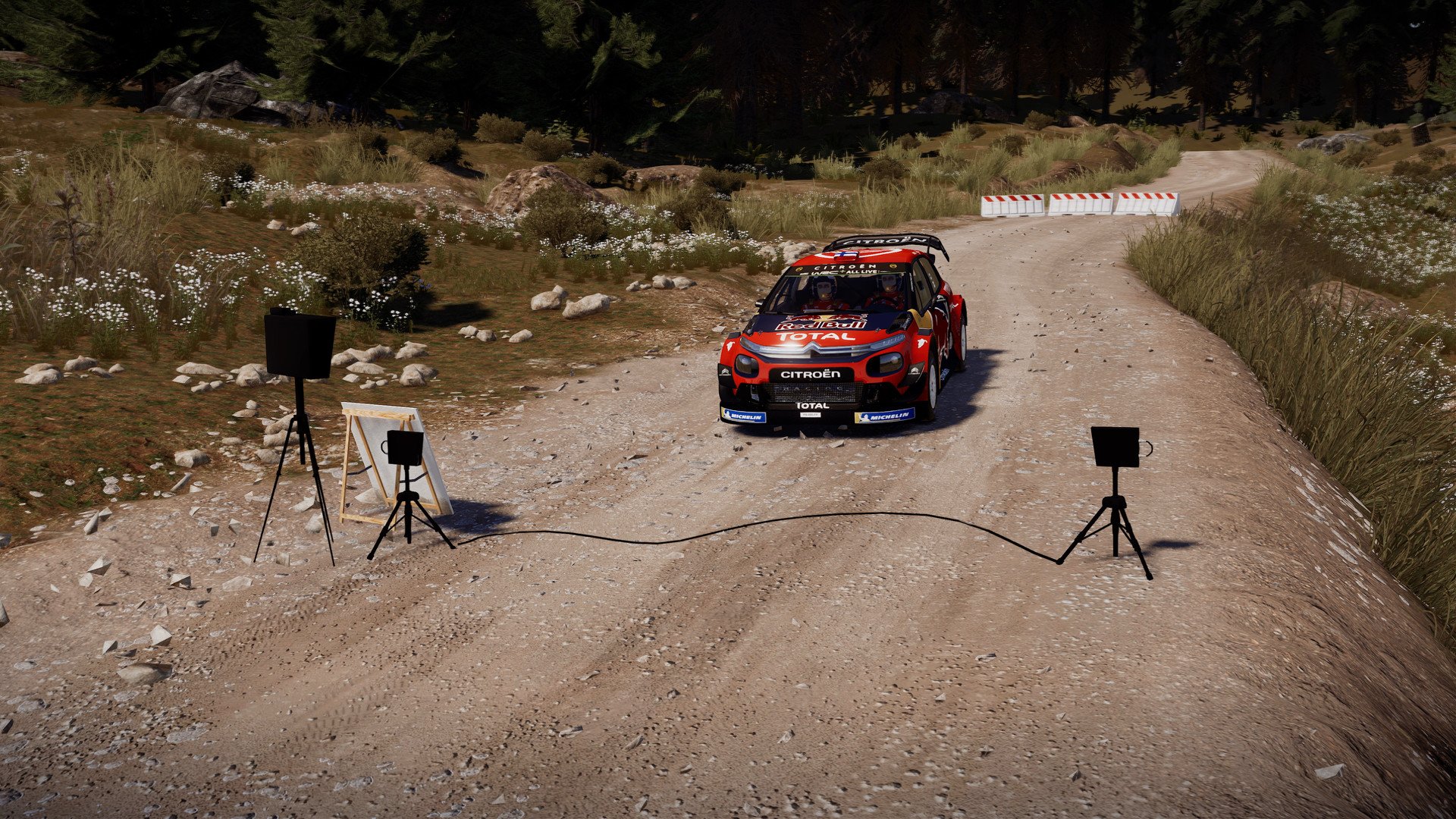 wrc8-screen-2.jpg