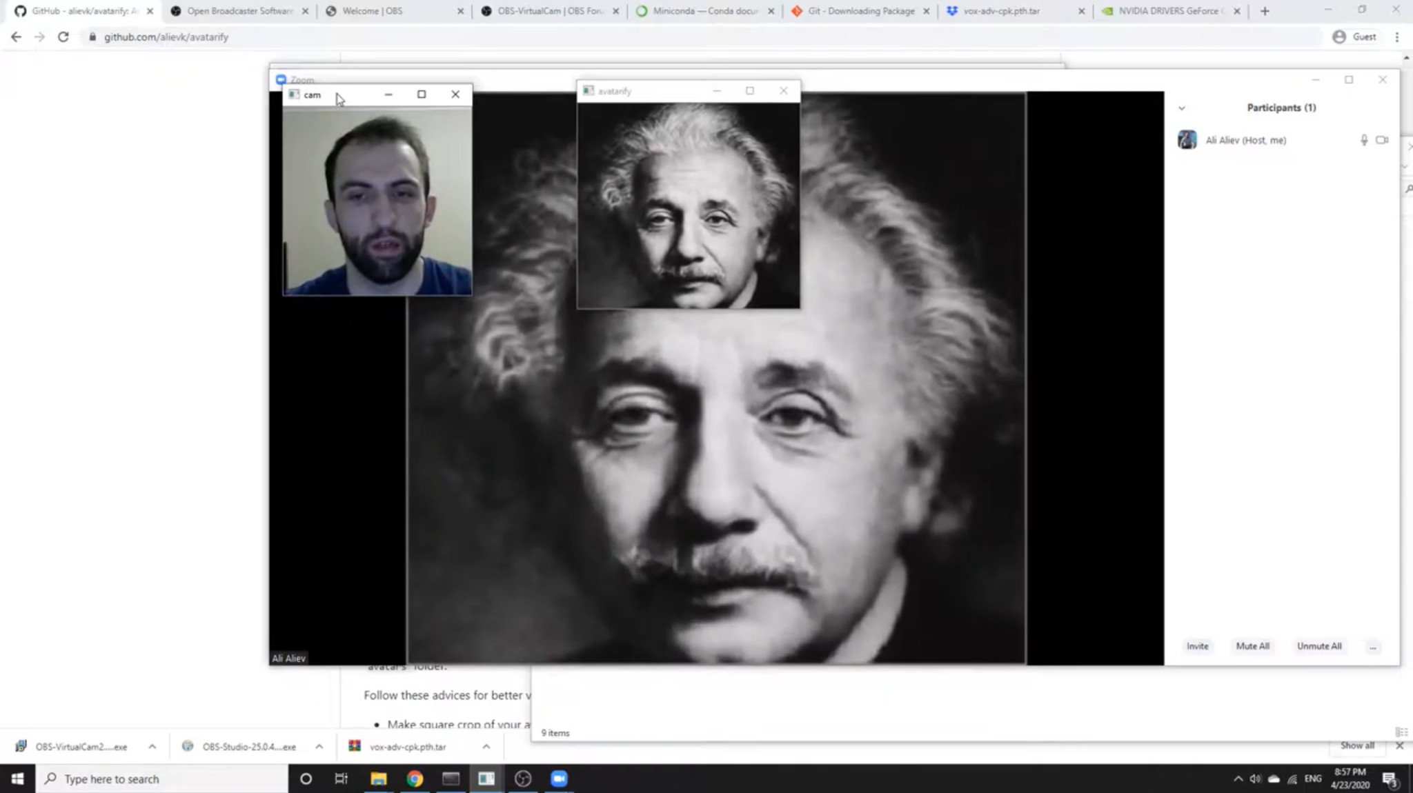 avatarify-einstein.jpg