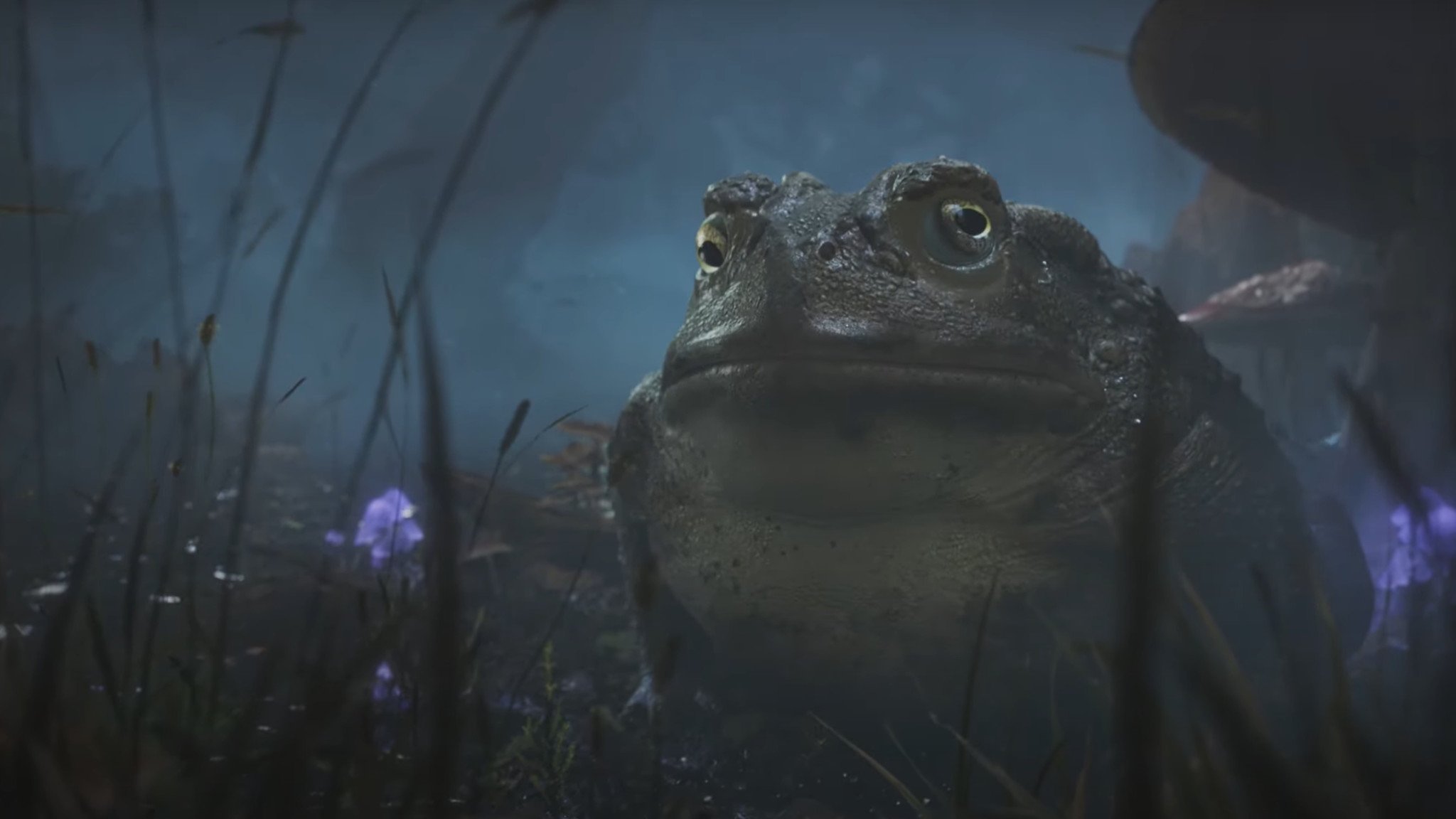 fable-reveal-toad.jpg