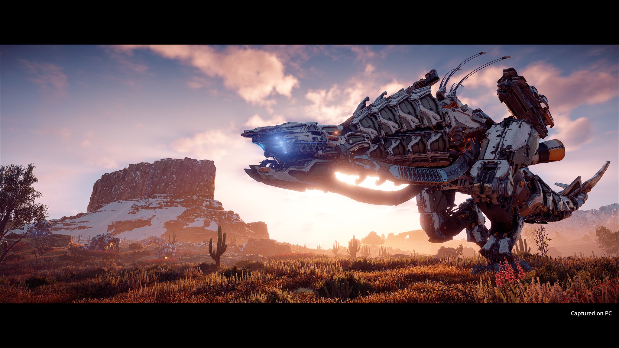 horizon-zero-dawn-pc.jpg