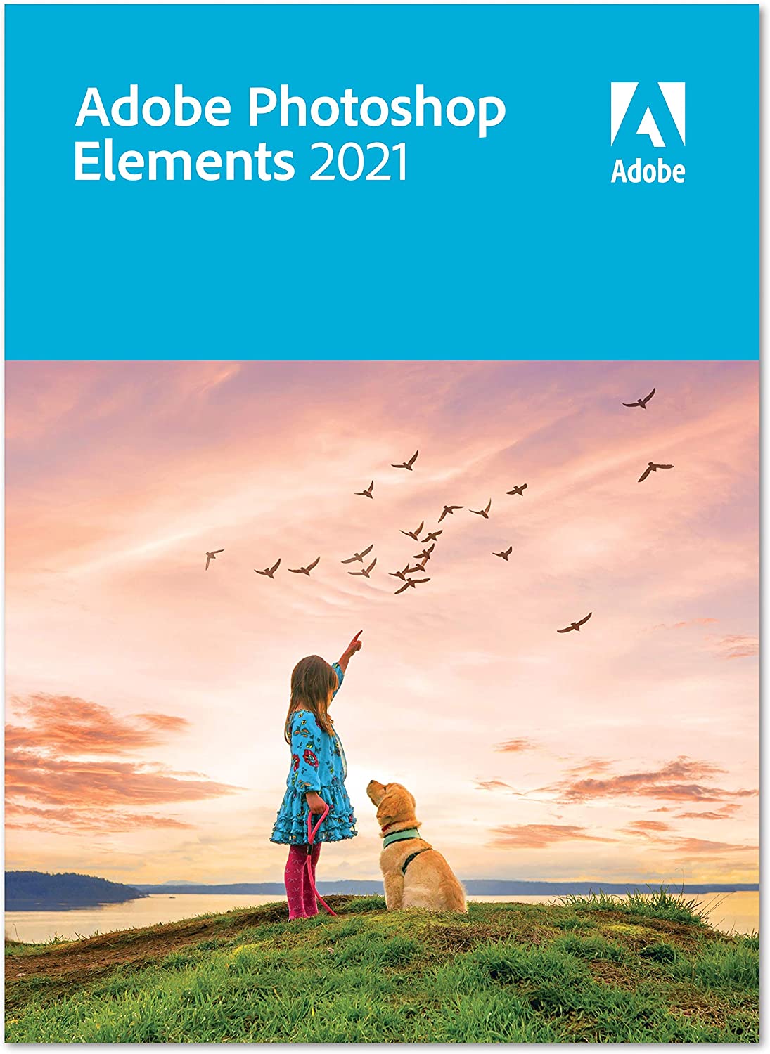 photoshop-elements-2021.jpg