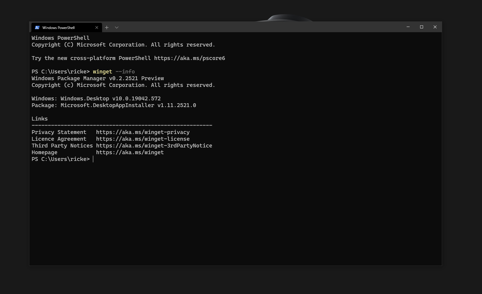 winget-terminal-info.png