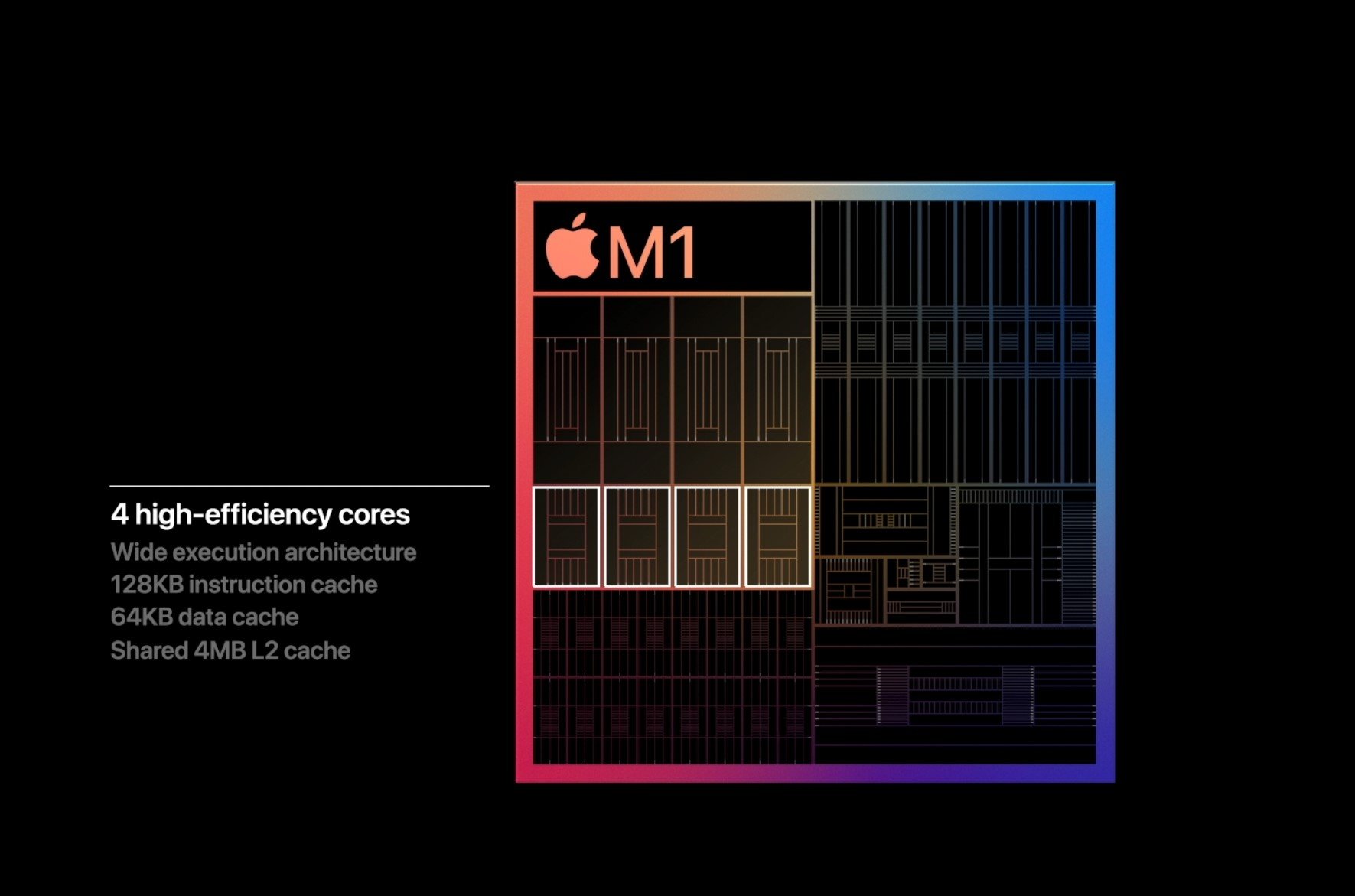 m1.jpg