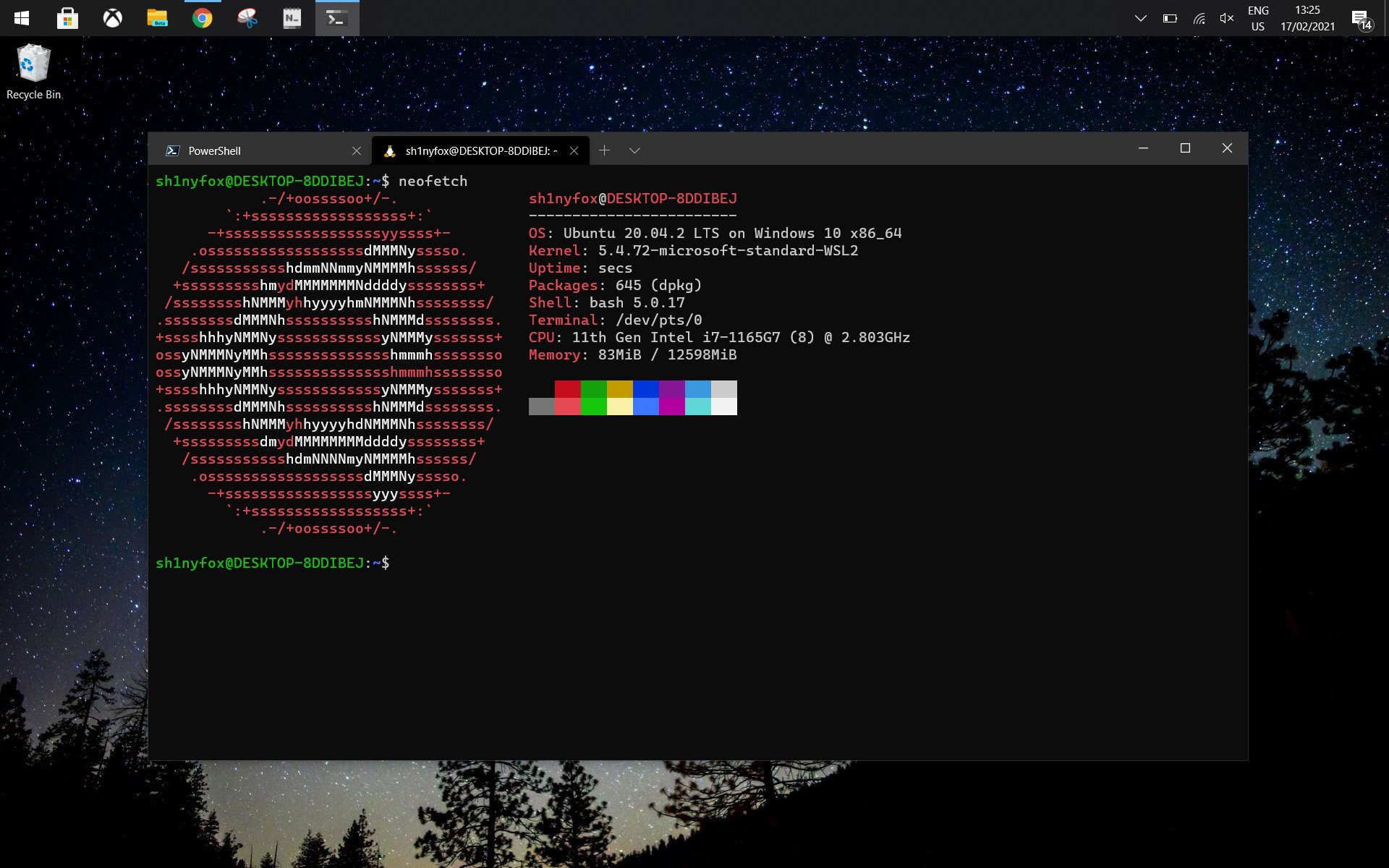 ubuntu-wsl-terminal-neofetch.jpg