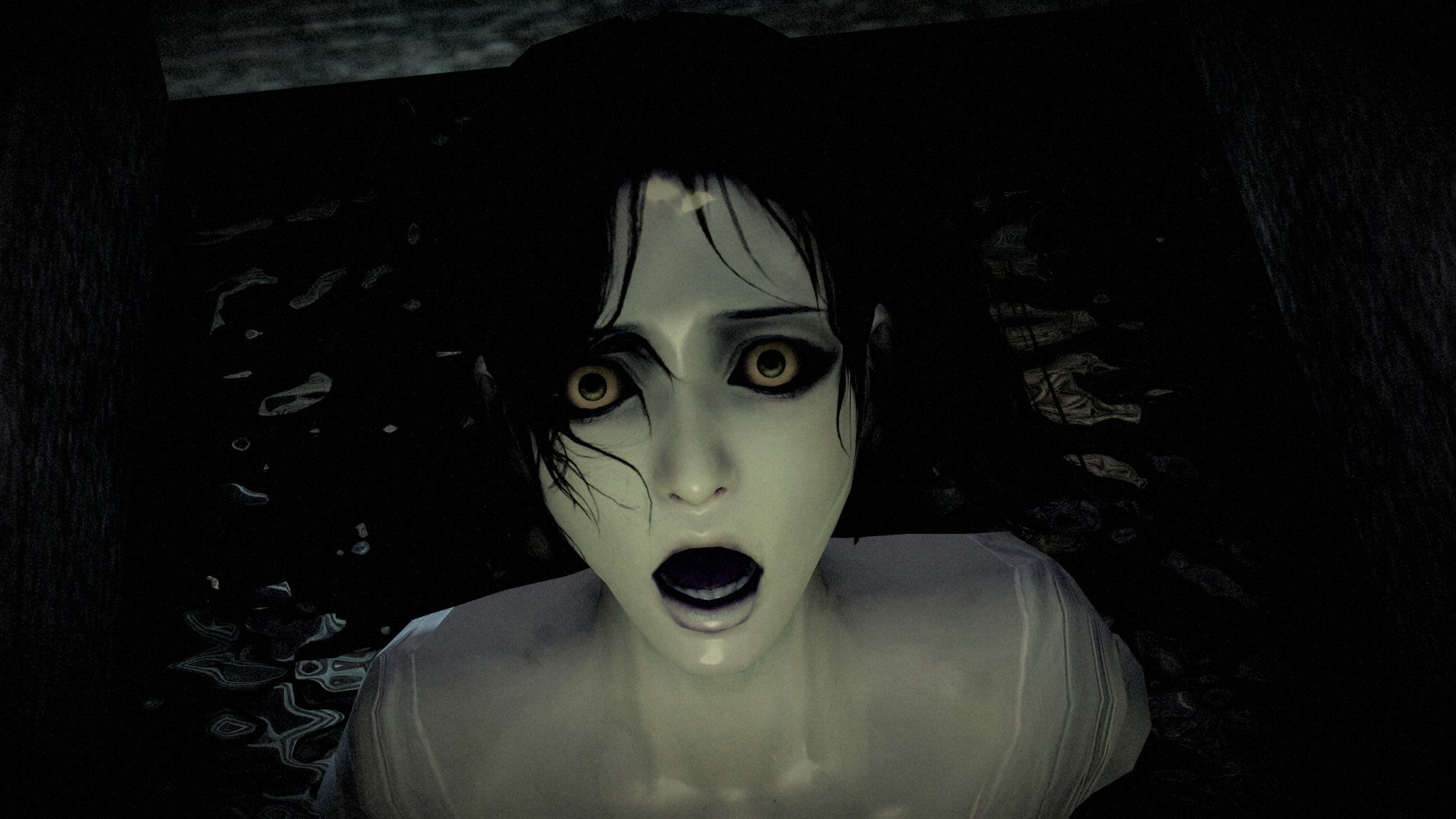 fatal-frame-maiden-black-water-black-box.jpg