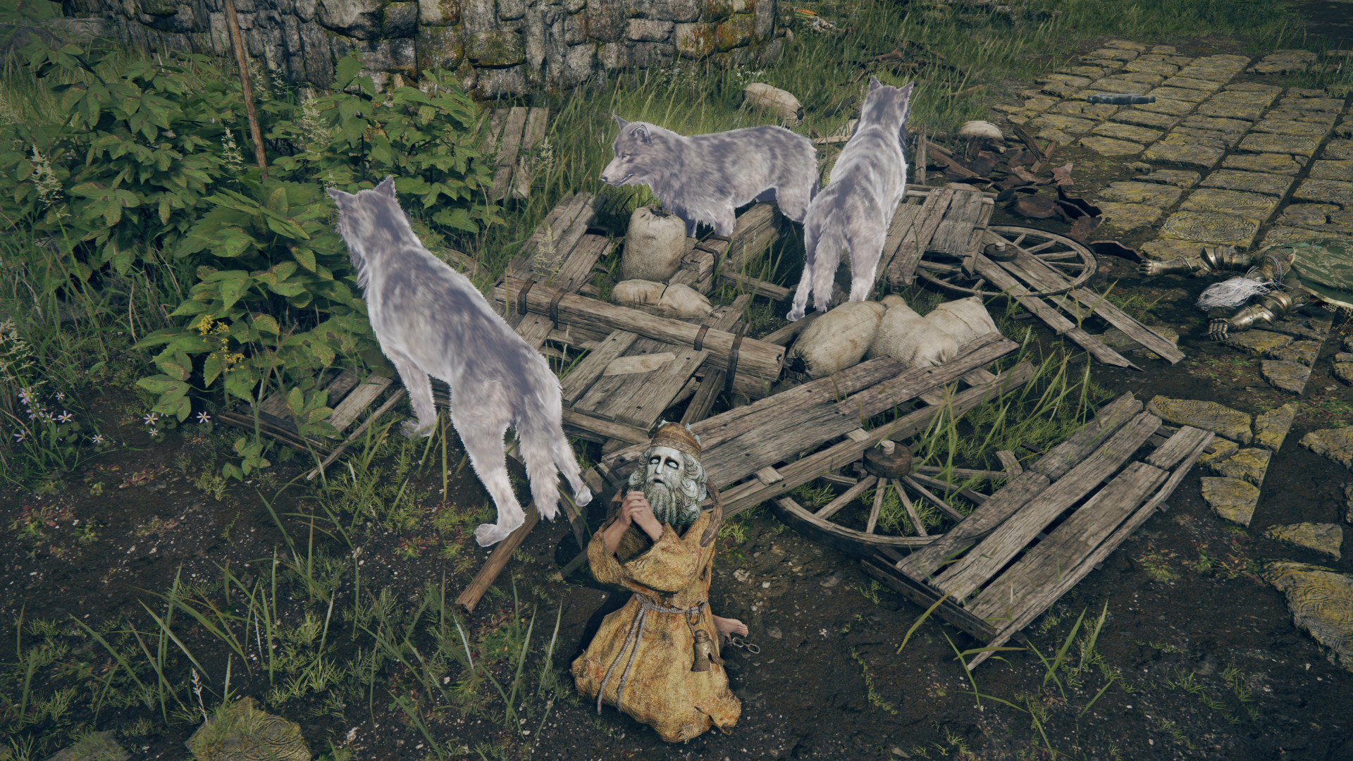 elden-ring-wolves.jpg