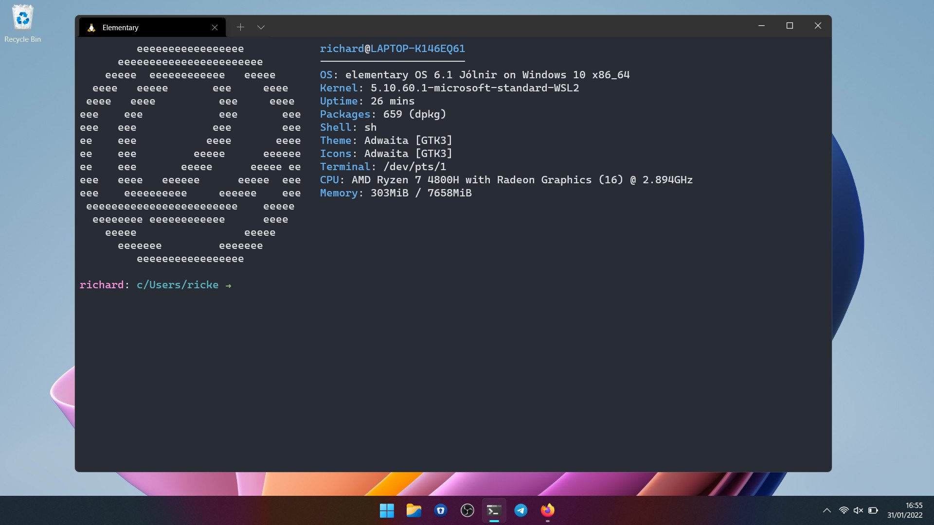 elementary-os-wsl-5.jpg