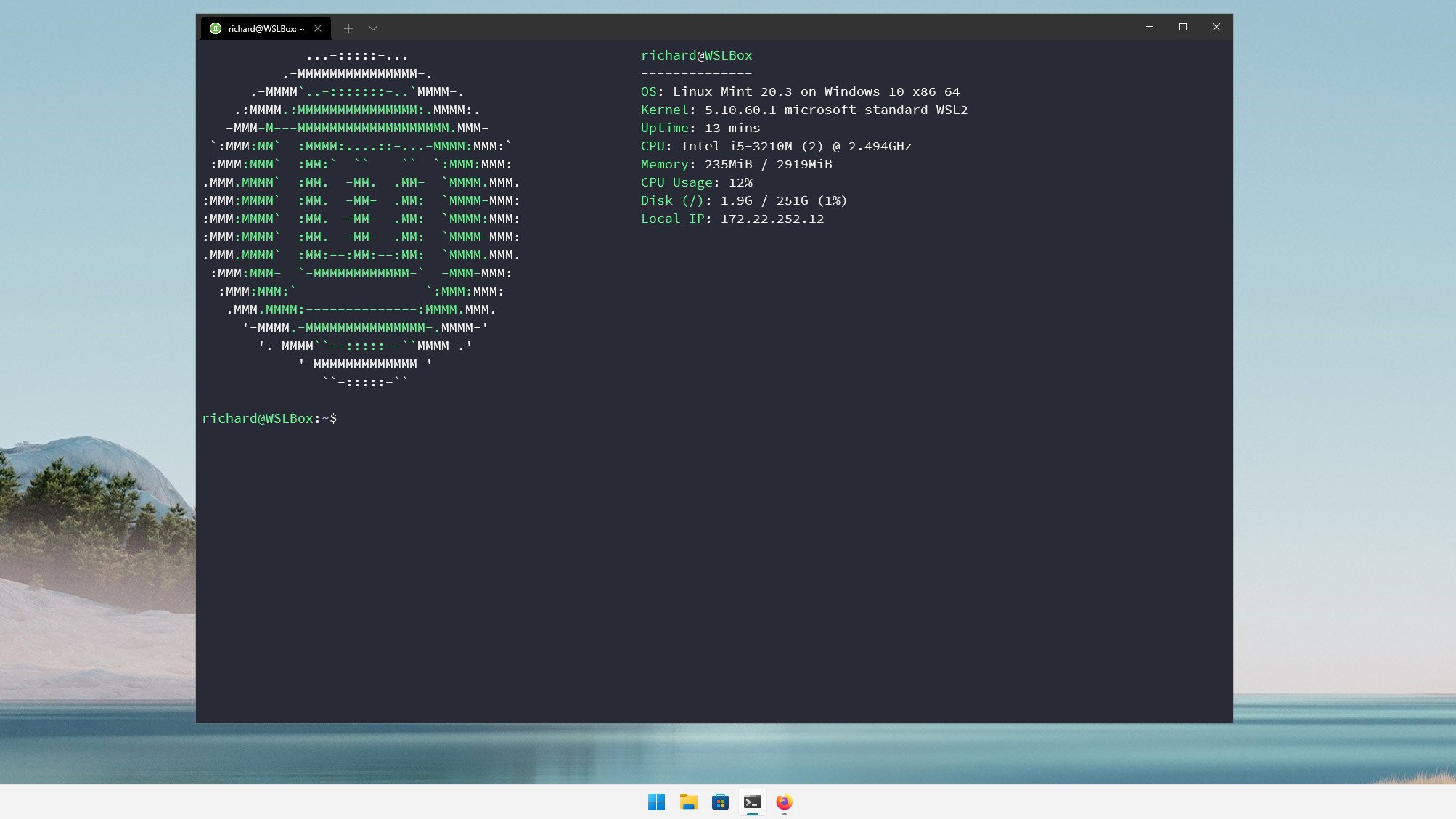 linux-mint-terminal-wsl.jpg