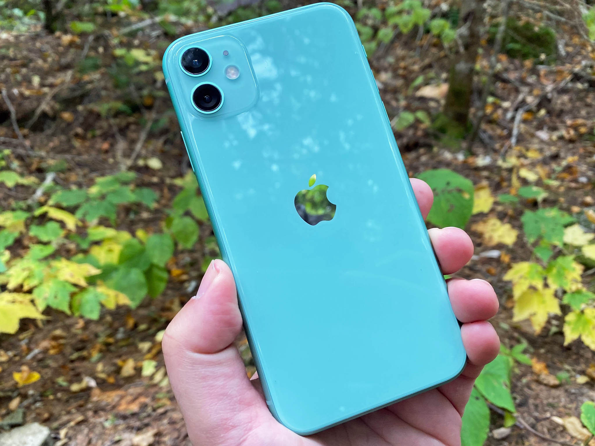 iphone11-dan-green.jpg