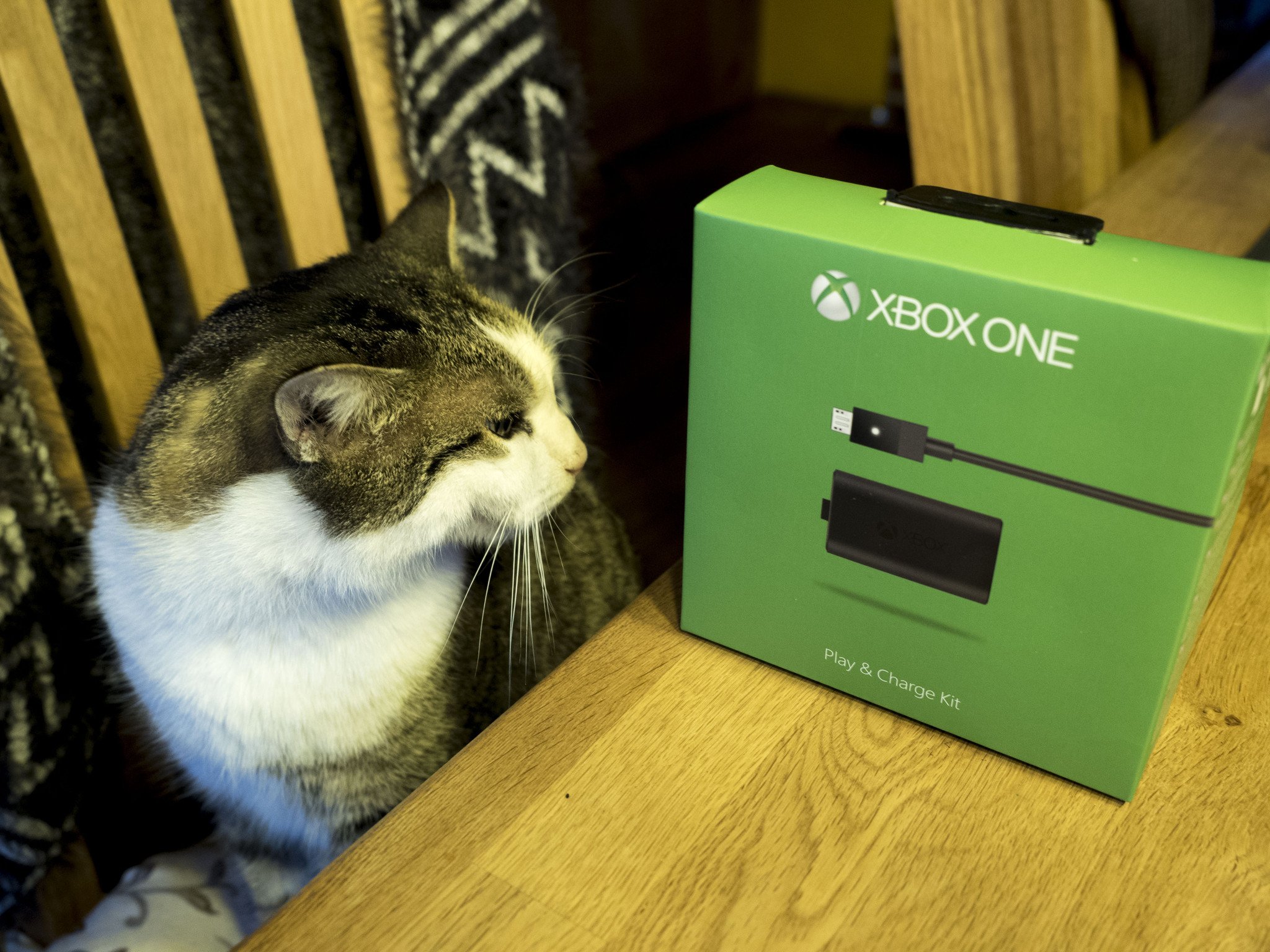 xbox-play-charge-kit-cat.jpg